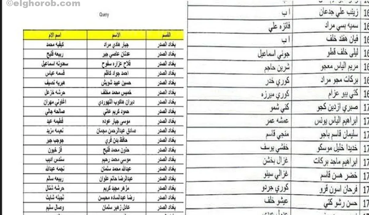 شوف اسمك في الكشف.. أسماء المشمولين بالرعاية الاجتماعية الوجبة الأخيرة 2024 عبر منصة مظلتي بالعراق