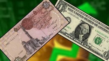 سعر الدولار اليوم في البنوك المصرية 6 أغسطس